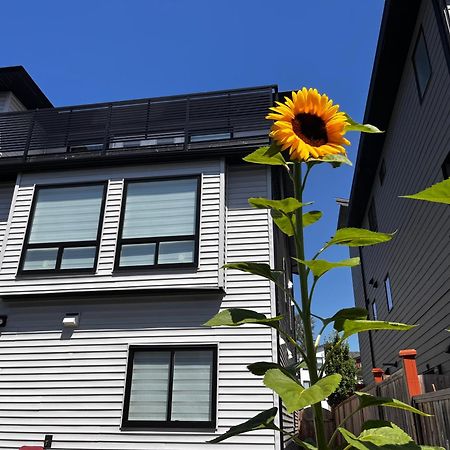 New, Spacious 2 Bedrooms In Downtown With Free Parking! Maple Ridge Exterior foto