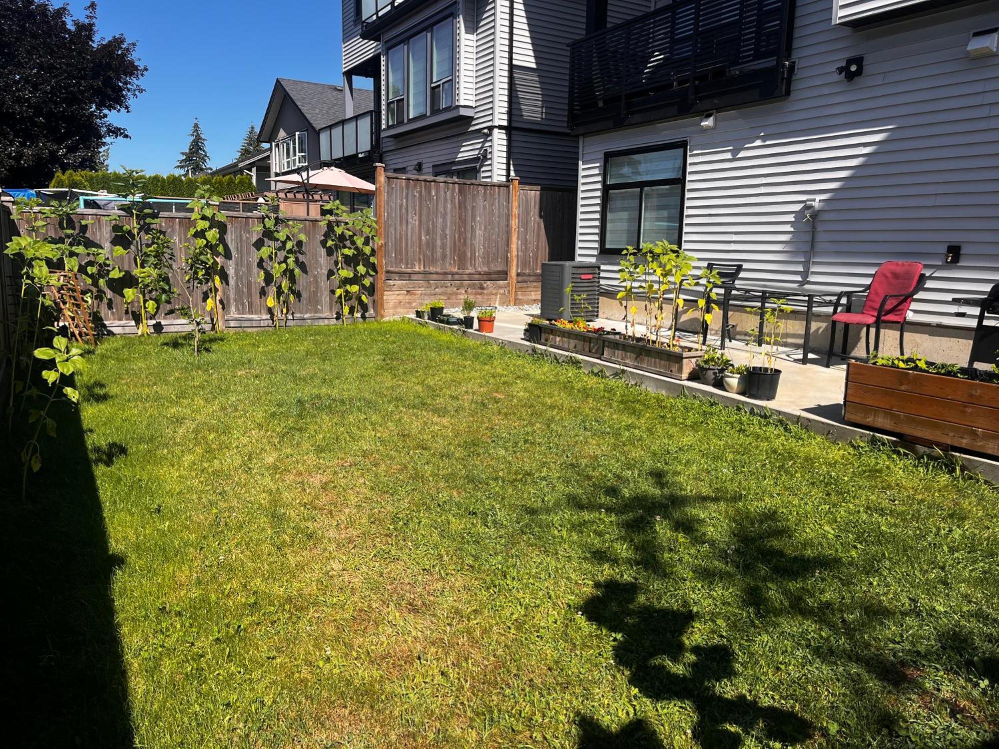 New, Spacious 2 Bedrooms In Downtown With Free Parking! Maple Ridge Exterior foto